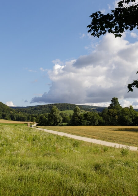 szeretetkerteszkedes-04